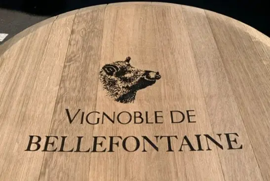 vignoble de Bellefontaine
